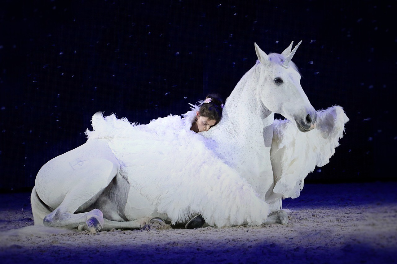 Paard&Podium met Alizée Froment 'Vertrouwen is de basis'