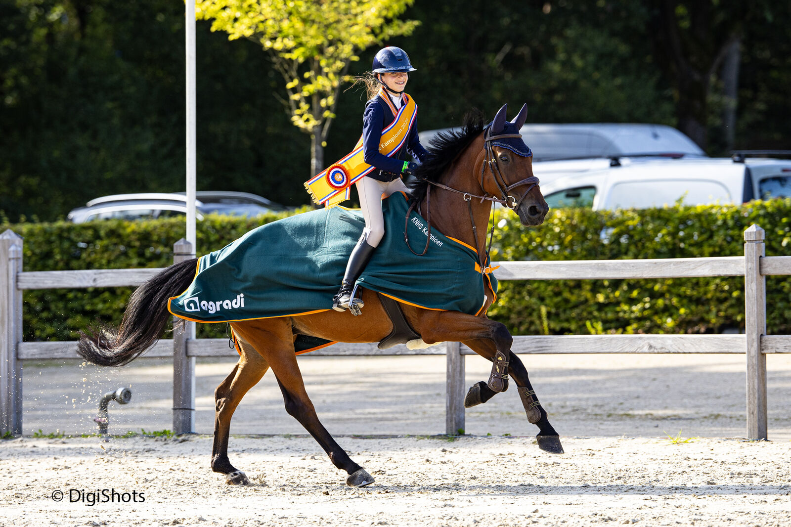 Nederlandse Kampioenen 2024