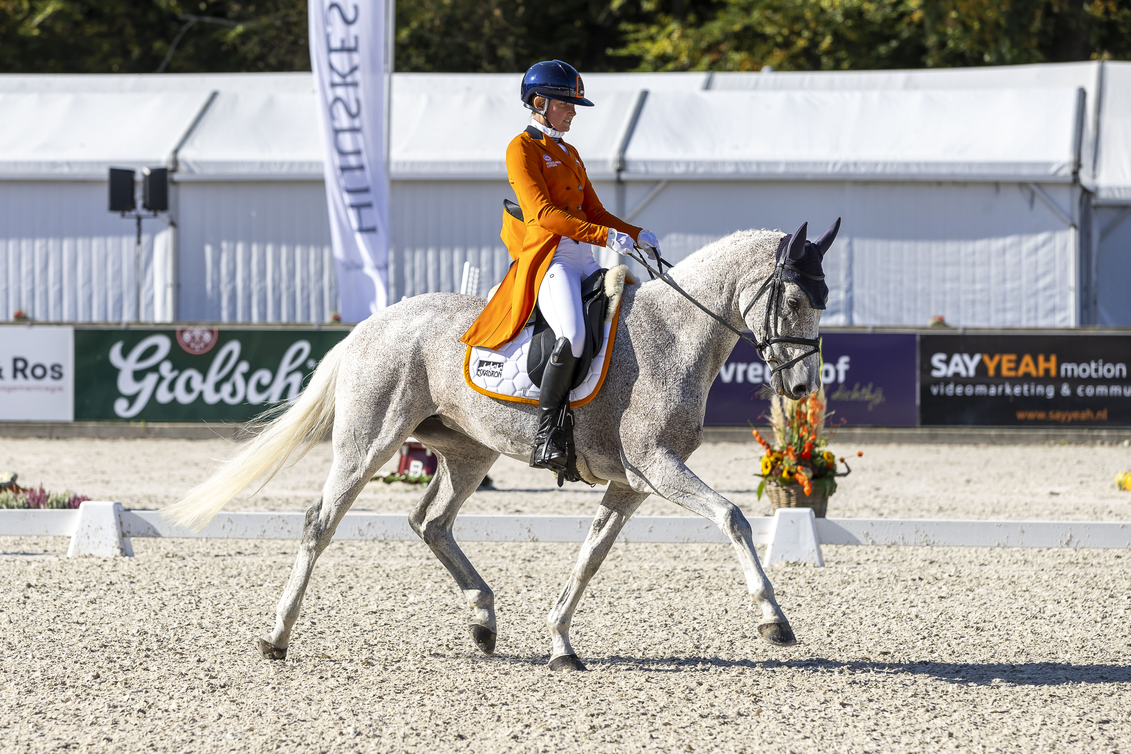 Military Boekelo-Enschede: Sanne de Jong pakt leiding NK na dressuur